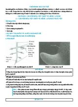 Trắc nghiệm Sinh học 11 - Chương 1 Chuyển hóa vật chất và năng lượng (Có đáp án và lời giải)